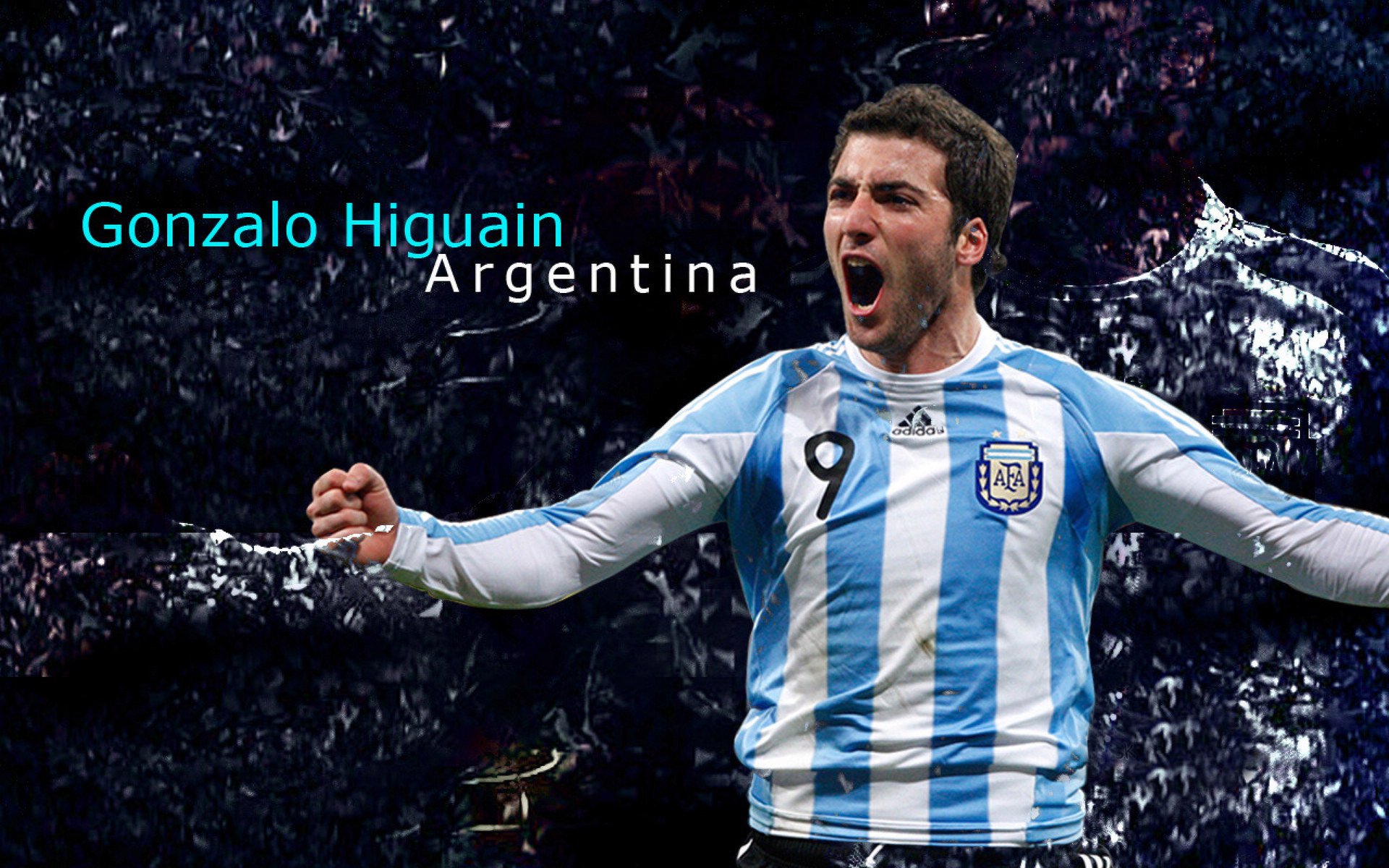 体育焦点人物专栏故事上线,体育人物深度报道